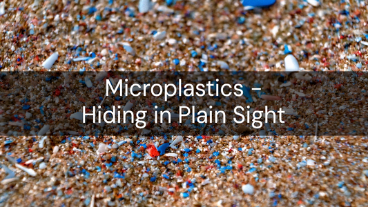 Are You Eating Plastic? A Practical Guide to Microplastics in Food and Water