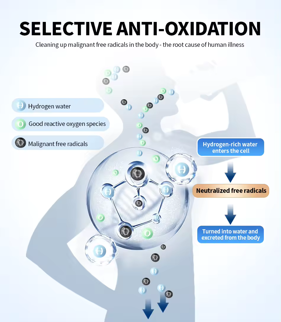 Hydrogen Water Bottle